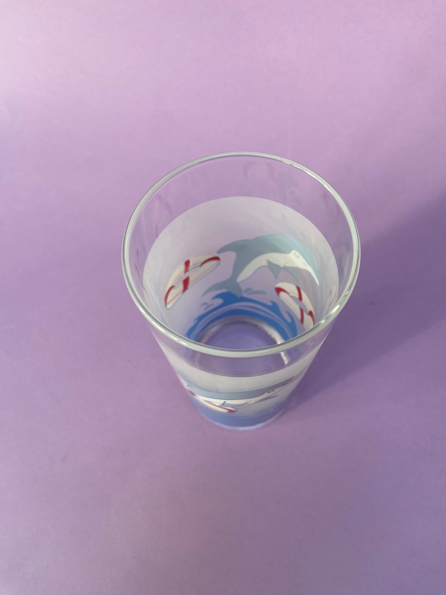 Duo de grands verres DAUPHINS