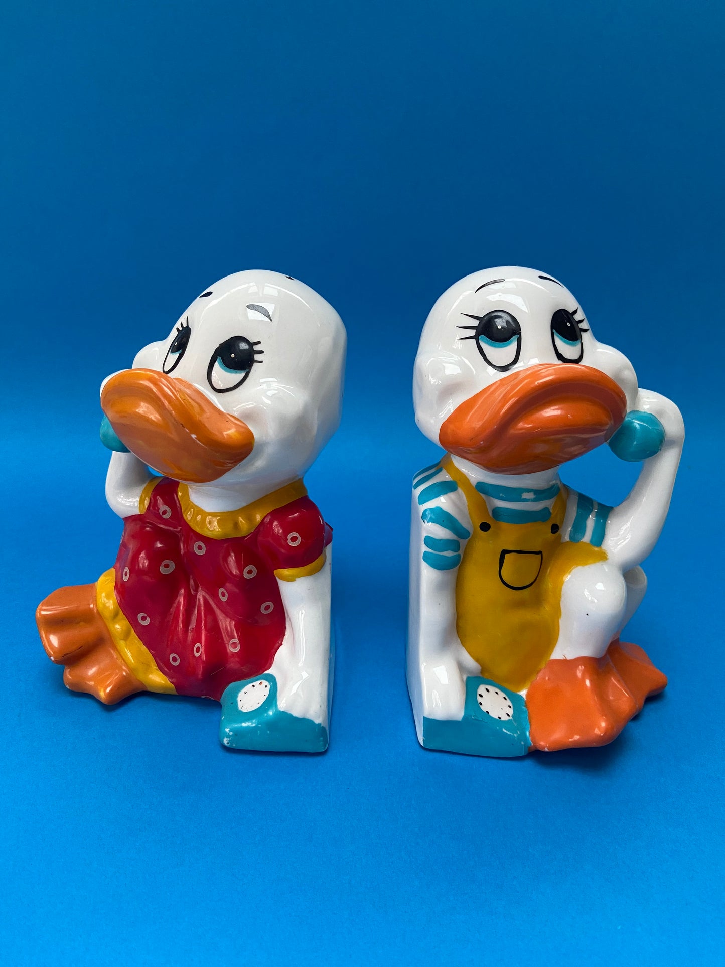 Duo de serre livres céramique CANARDS