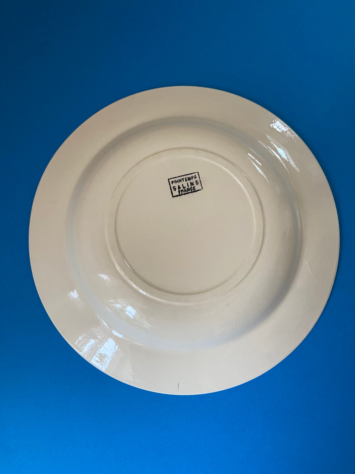 SALINS deep plate, PRINTEMPS model