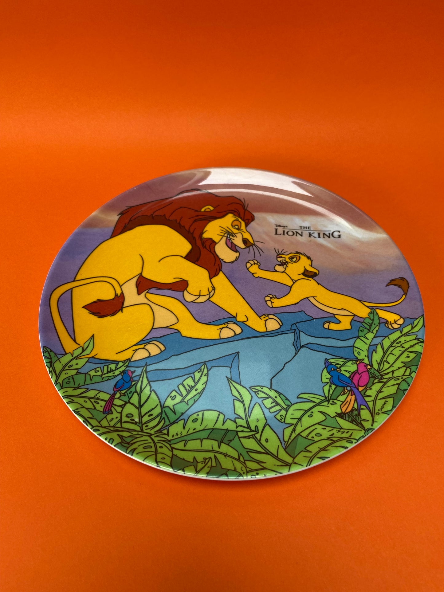 Kids Plate The Lion King