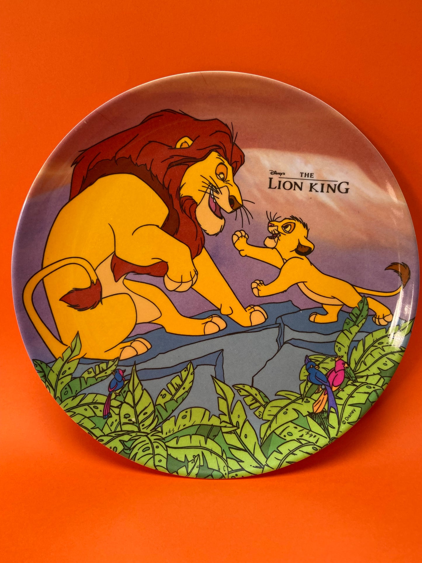 Kids Plate The Lion King