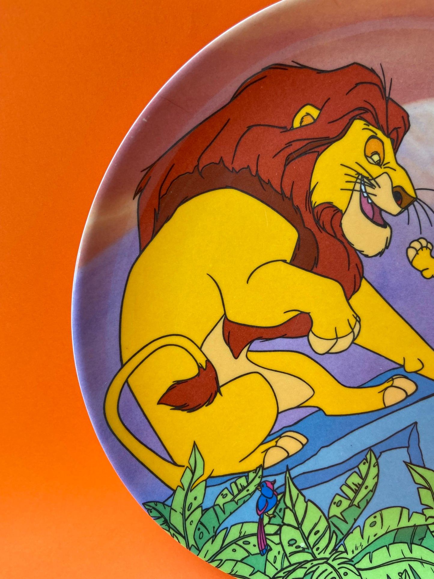 Kids Plate The Lion King