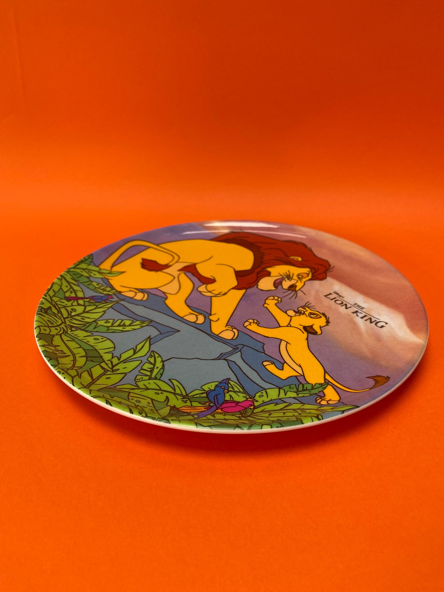 Kids Plate The Lion King