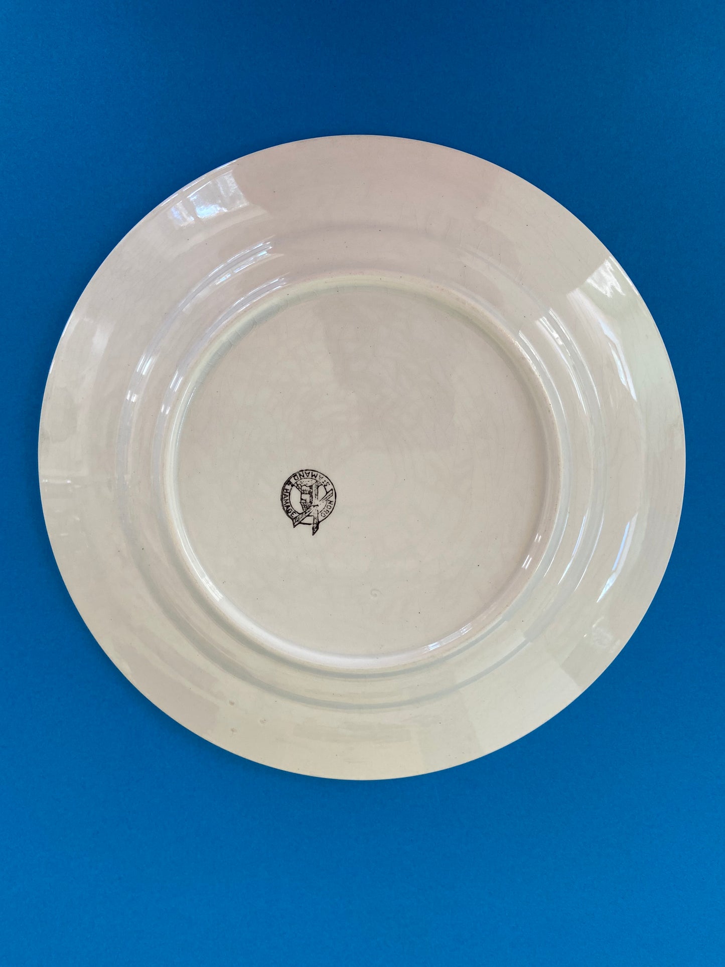 Large SAINT AMAND plate BLUE pattern