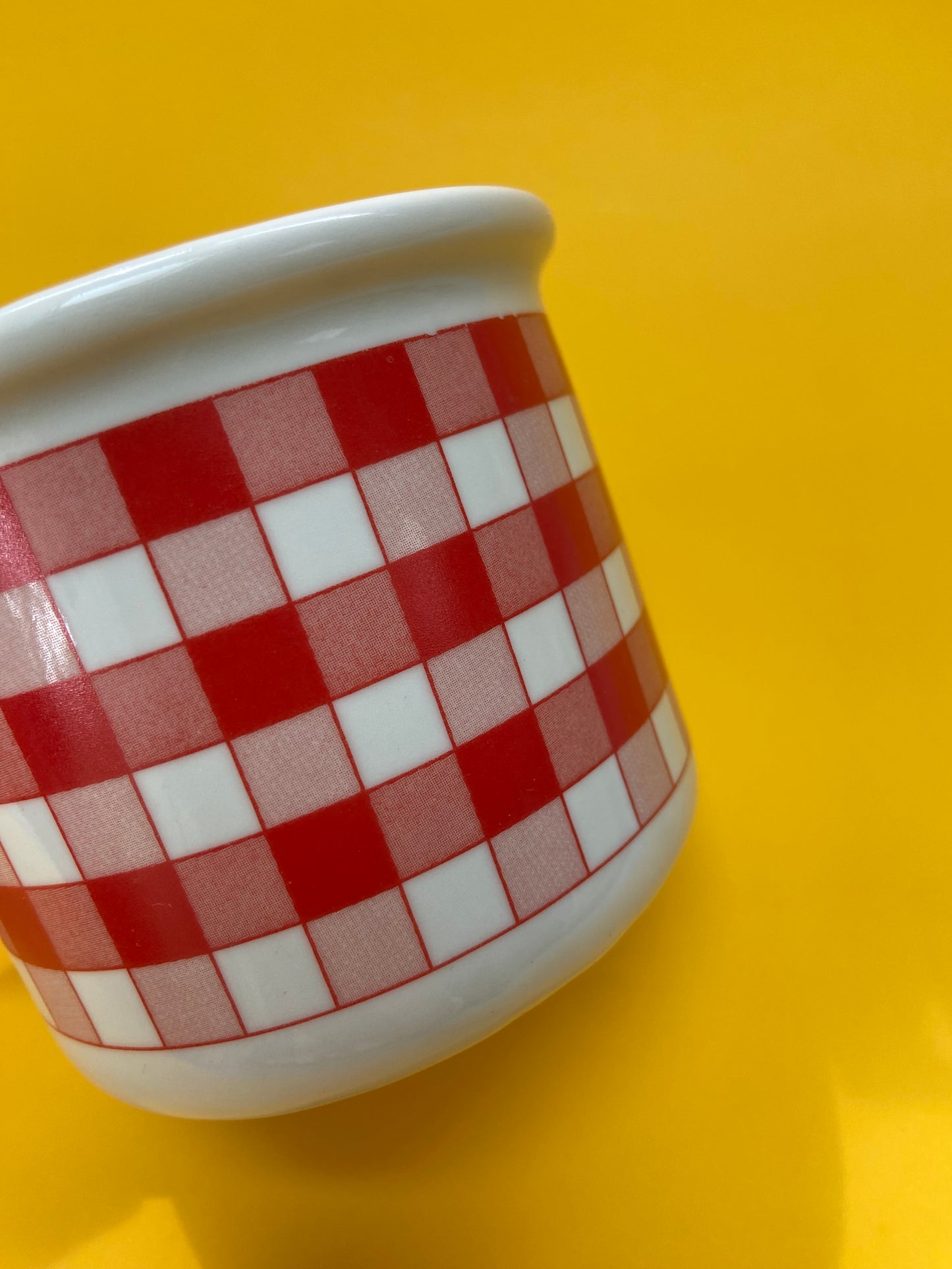 Red Vichy Mug IPA Italy