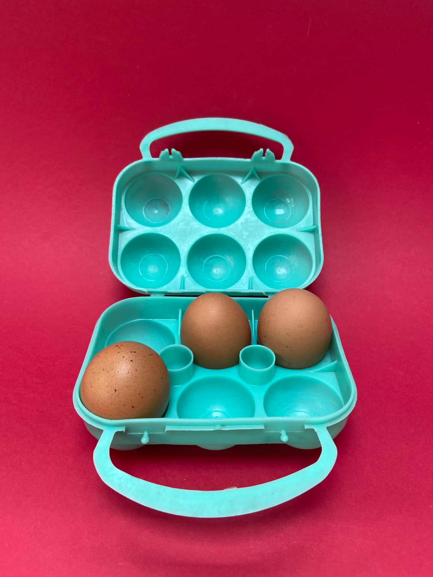 BLUE/GREEN egg box