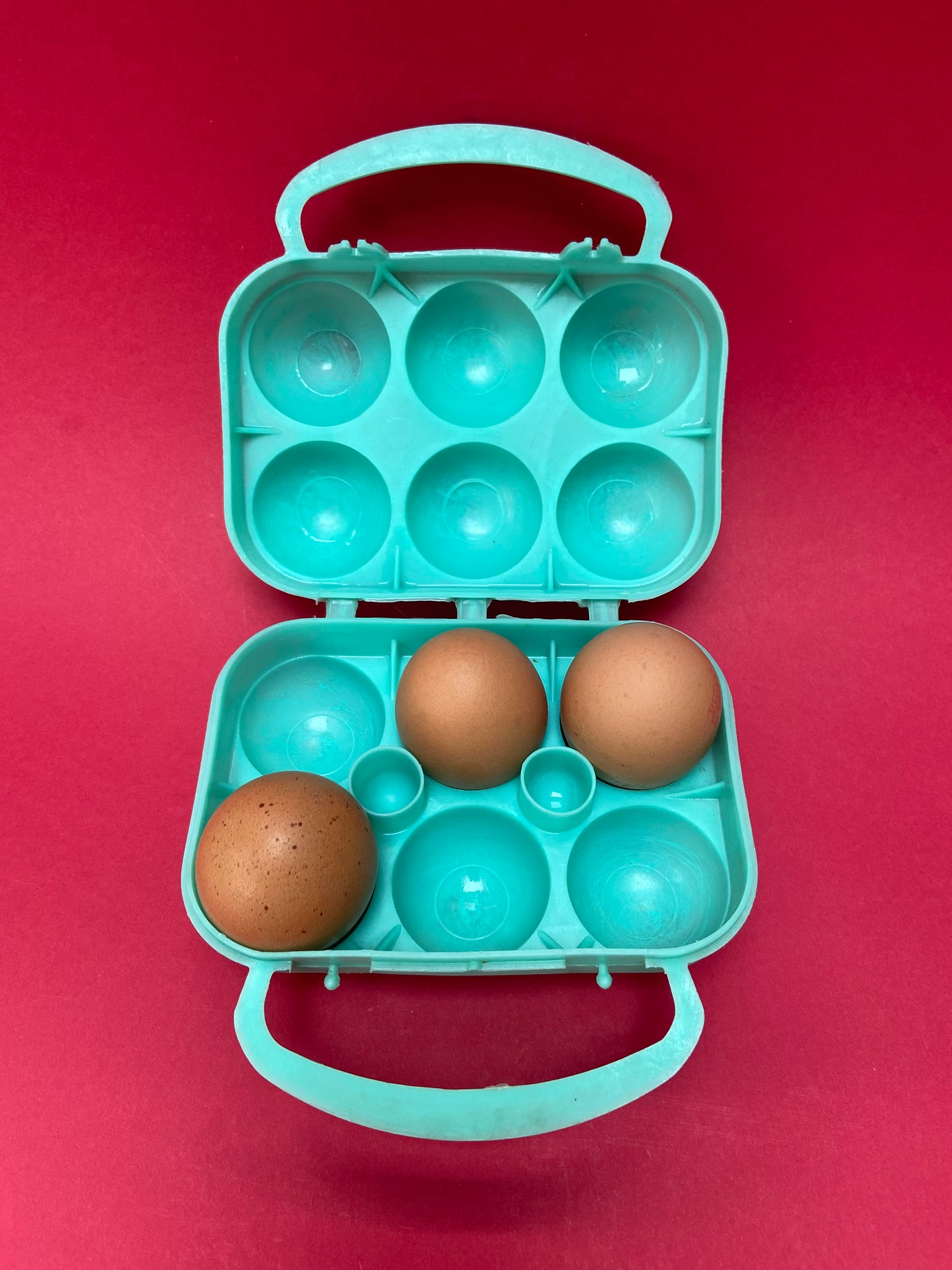 BLUE/GREEN egg box