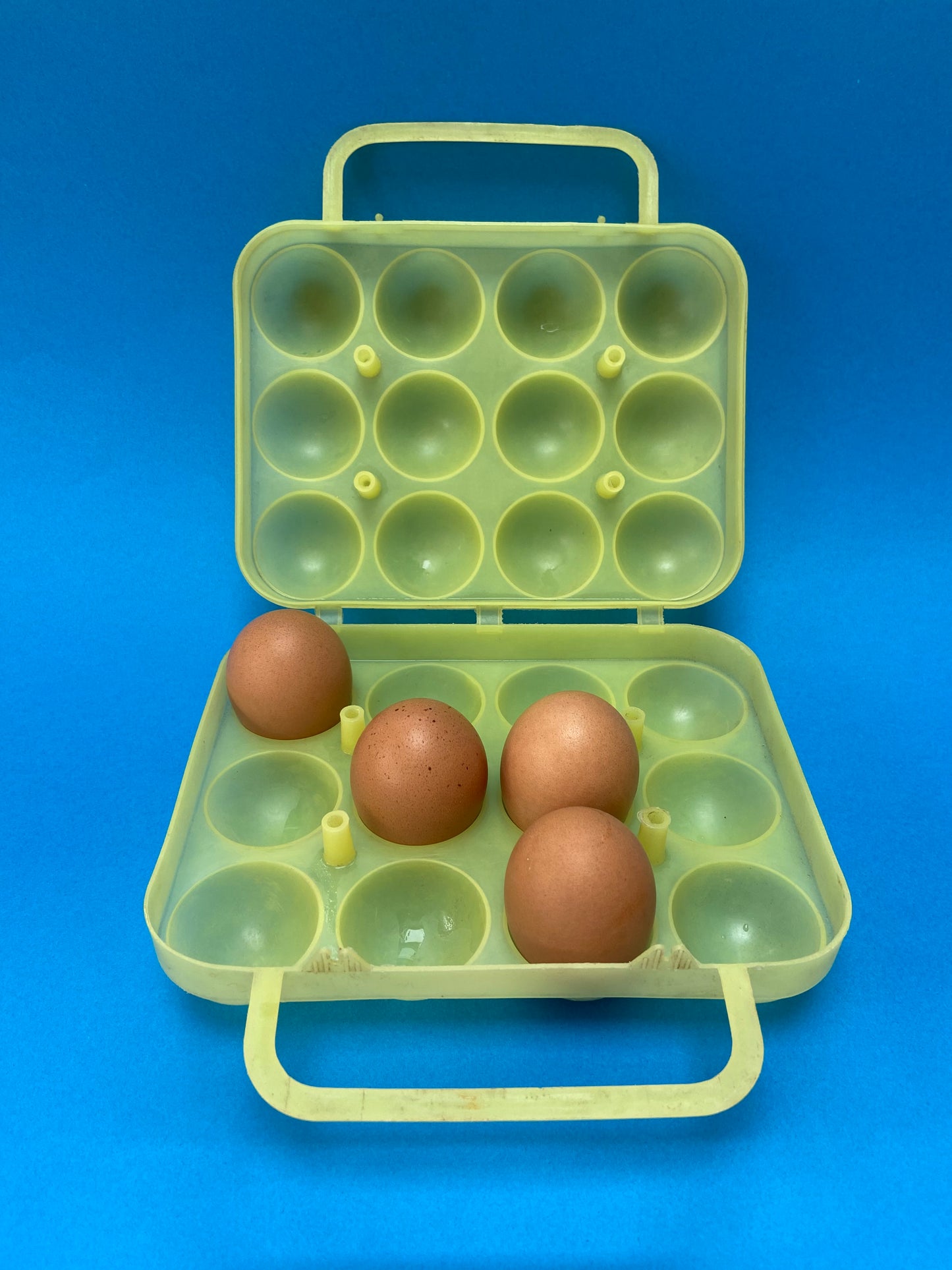 YELLOW plastic egg box