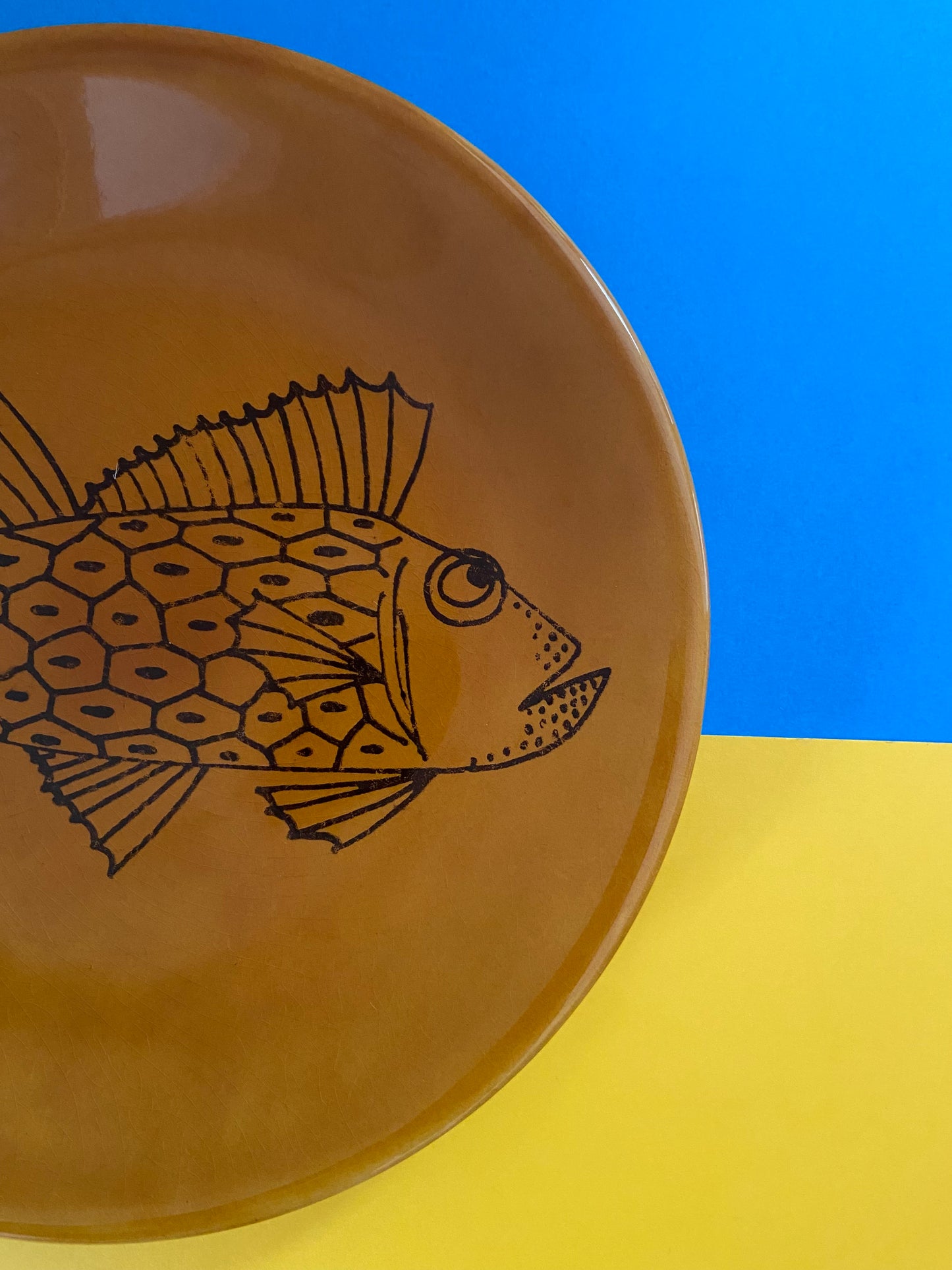 Flat plate FISH FUN 2