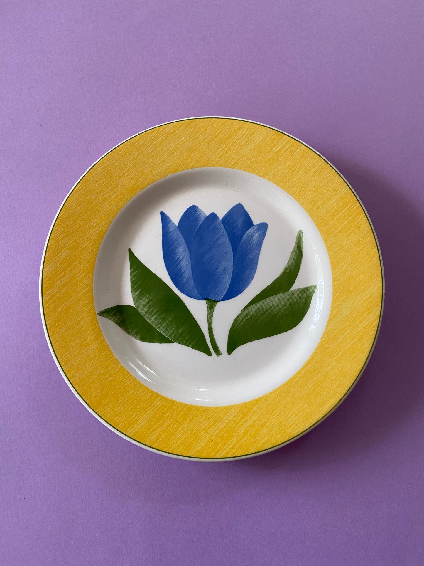 Small flat plate BLUE TULIP