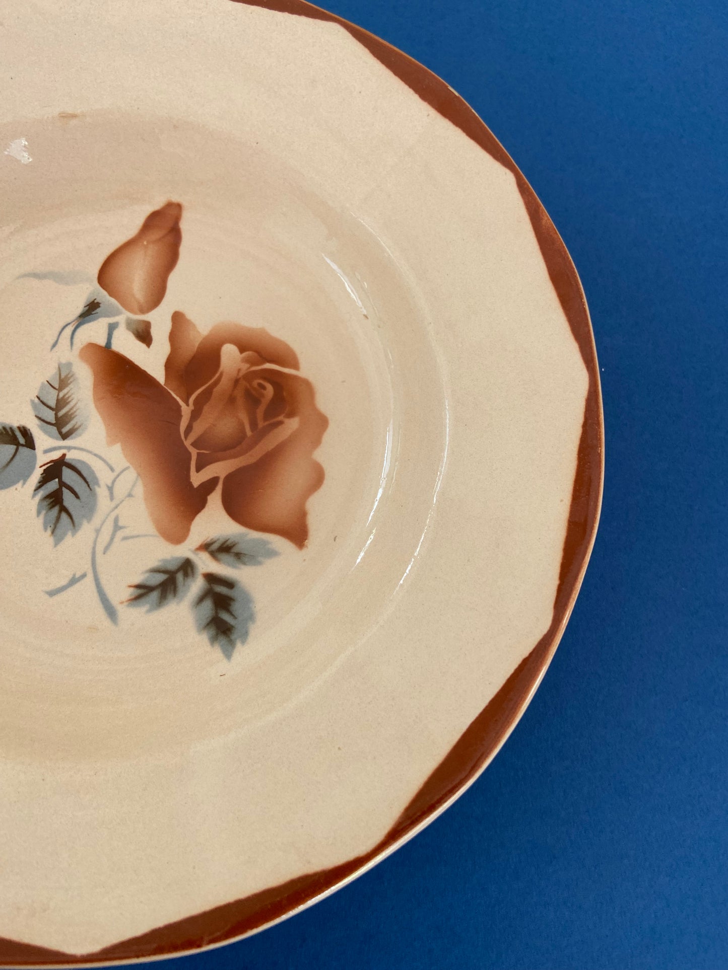 Digoin Sarreguemines deep plate with ROSES motif