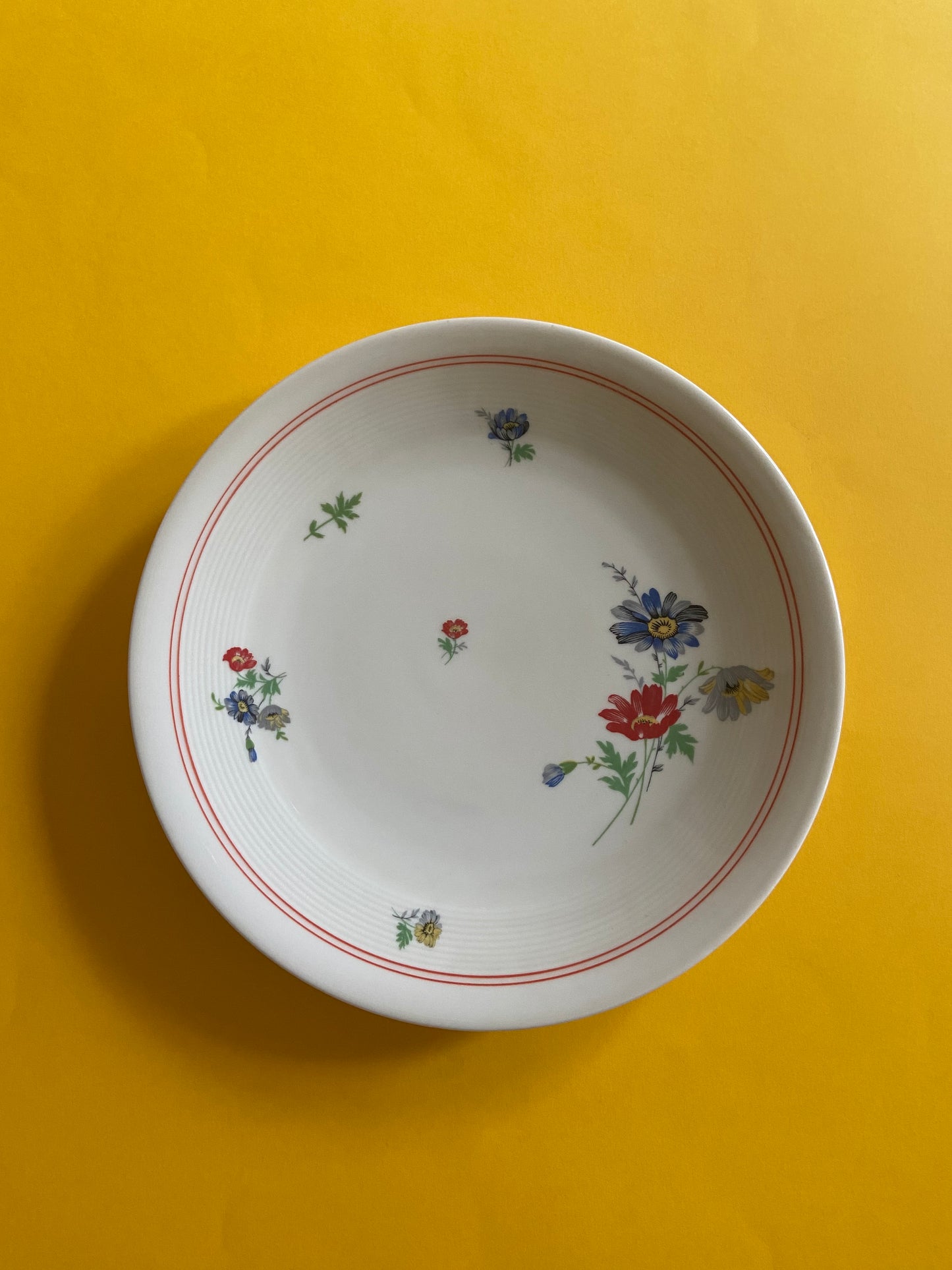 Assiette plate porcelaine Limoges par Charles Ahrenfeld